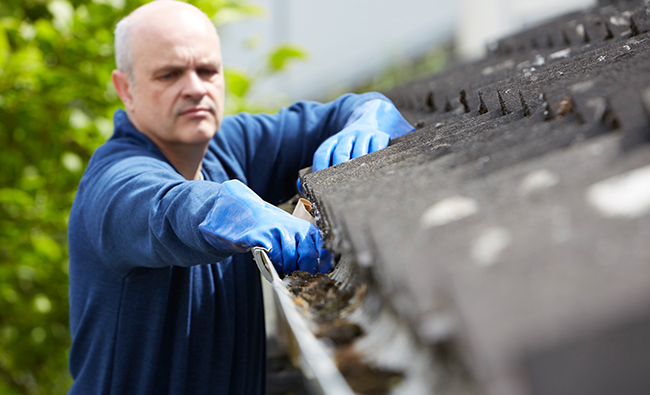 clean gutters and downspouts on a roof