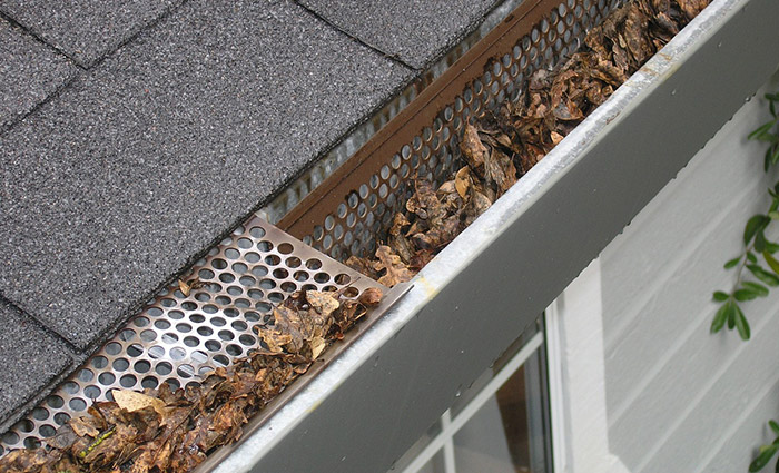 cleaning gutters and downspouts to prevent water damage