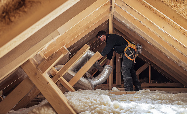 examine attic of a roof for damage