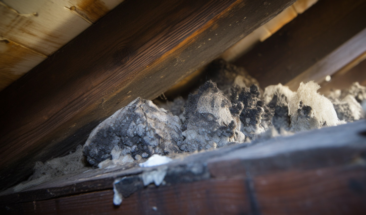 water stained insulation in the attic of a house