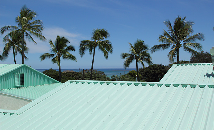 nice home in The Villages Florida with a painted metal roof