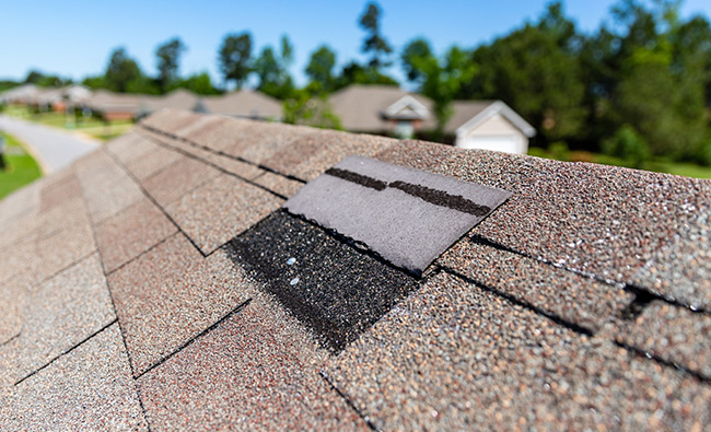 professional roofer inspecting an asphalt shingle roof