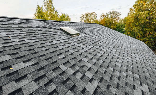 shingle roof property