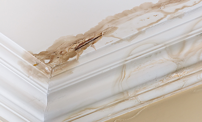 water stain on ceiling and wall indicates roof leak
