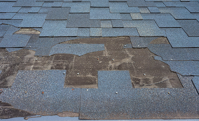 roofing contractor inspecting wind damage missing shingles on roof