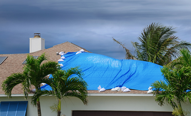 Wind Damage Roof Repair and Prevention