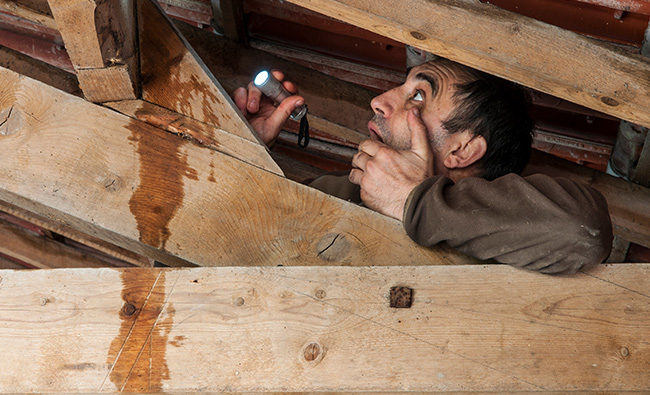 wood rot in the attic framing due to chimney leak